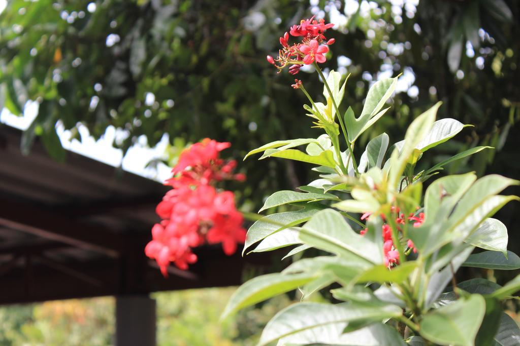 Lanta Happy Hill Hotel Koh Lanta Bagian luar foto